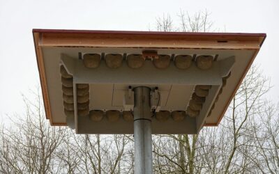 Dachausbau für Fledermäuse