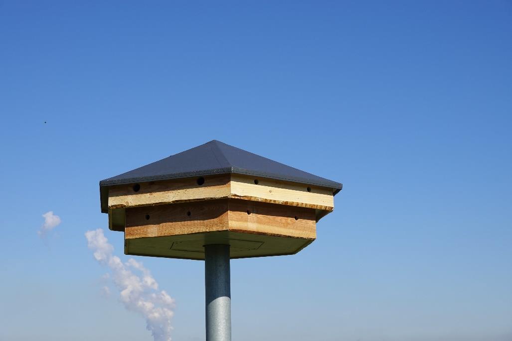 Steckbrief ASH 6-24 Artenschutzhaus