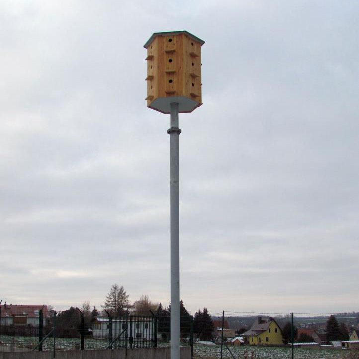 Schwalbenhäuser kaufen