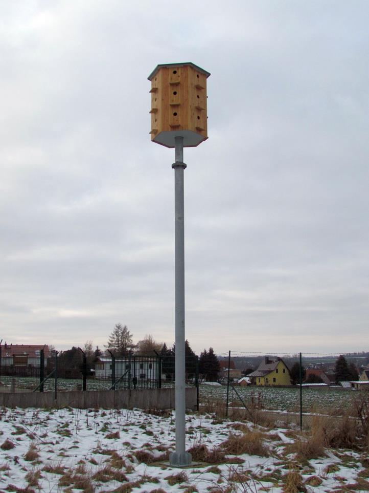 Steckbrief Dohlenturm Unsere Artenschutzhäuser