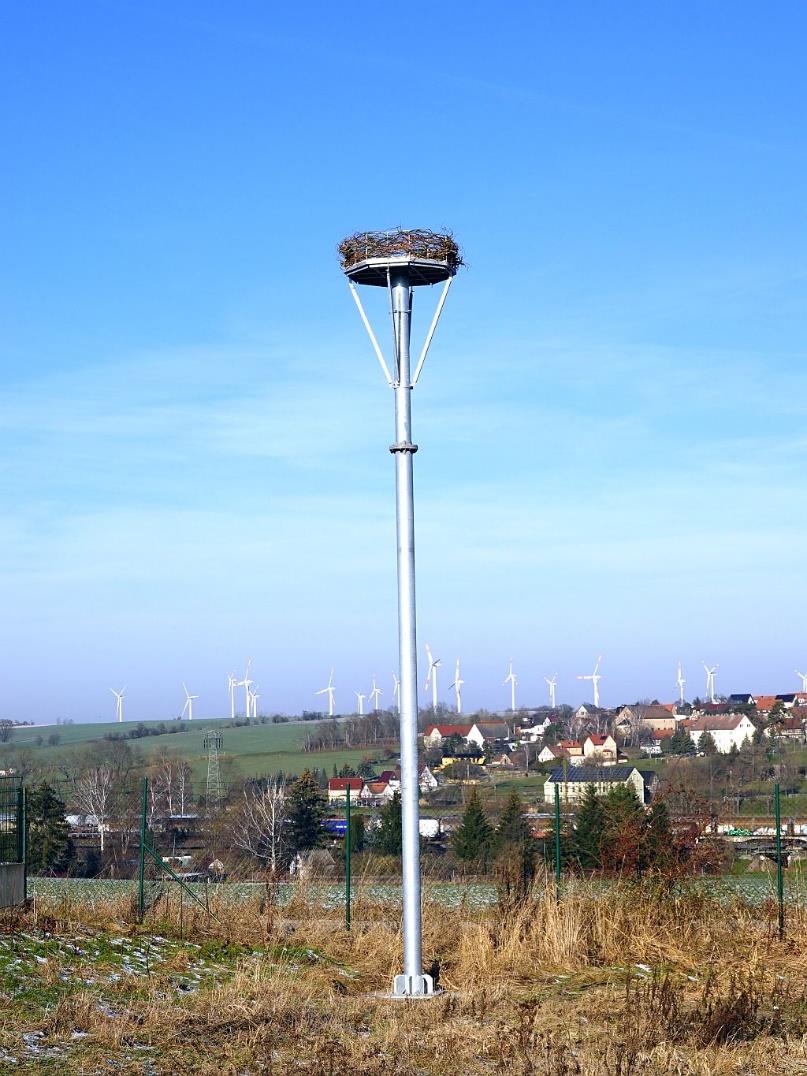 Steckbrief Storchenhorst Artenschutzhaus