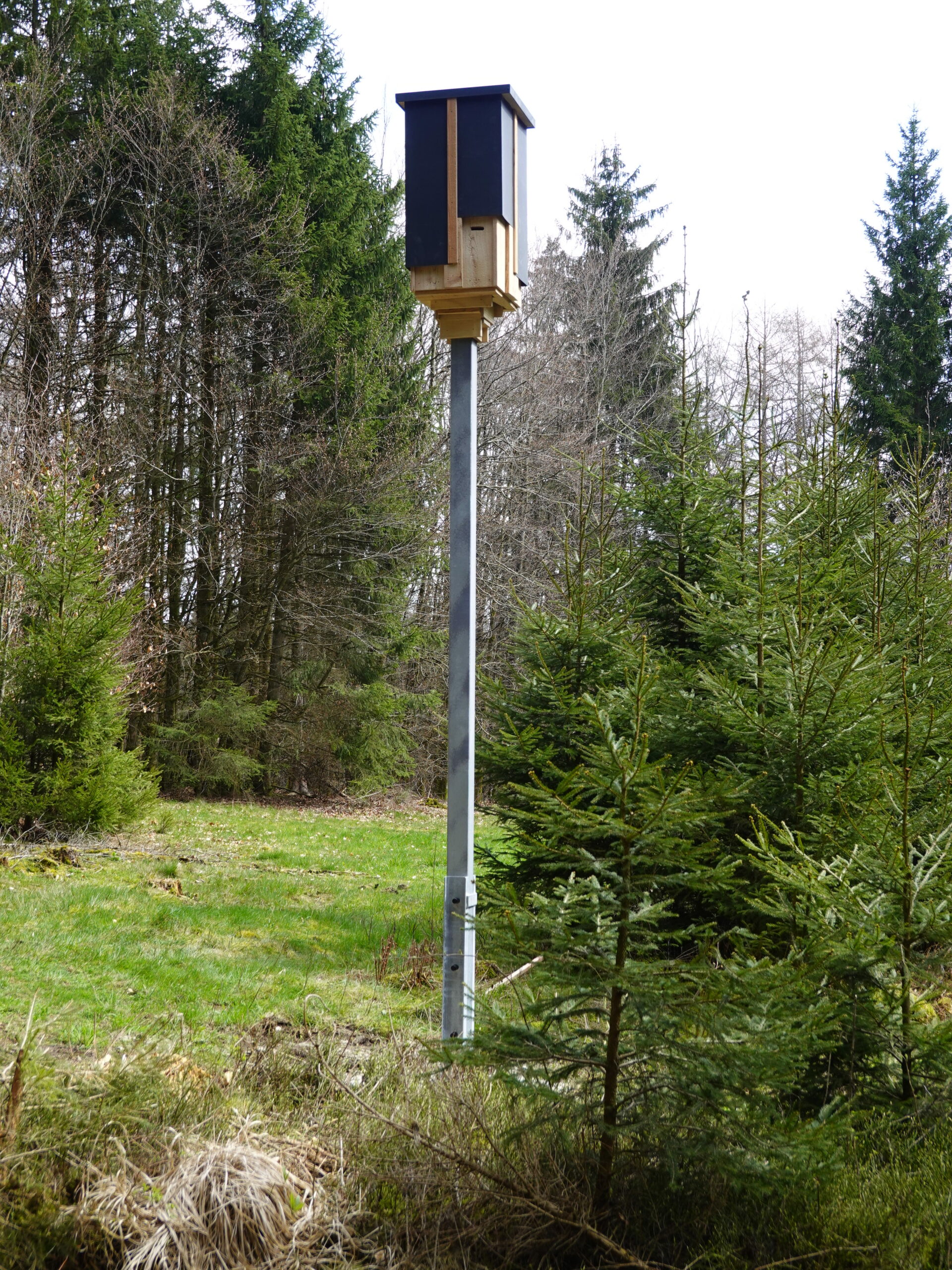 Schwalbenhäuser kaufen