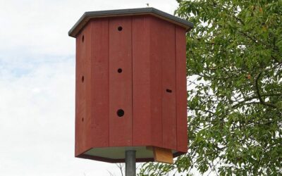 City Vogelhaus mit 18 Nistkästen