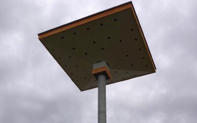 Neu: Mauerseglerhaus Modell 2024