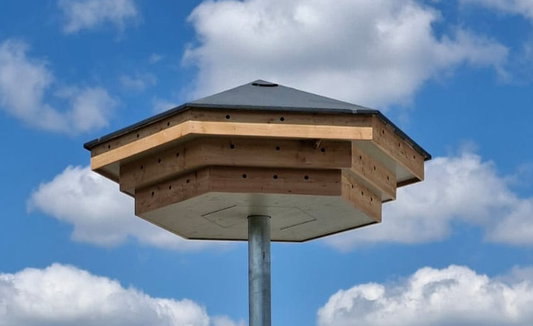 2025 05 29 - Sperling Dach Das Sperlingshaus