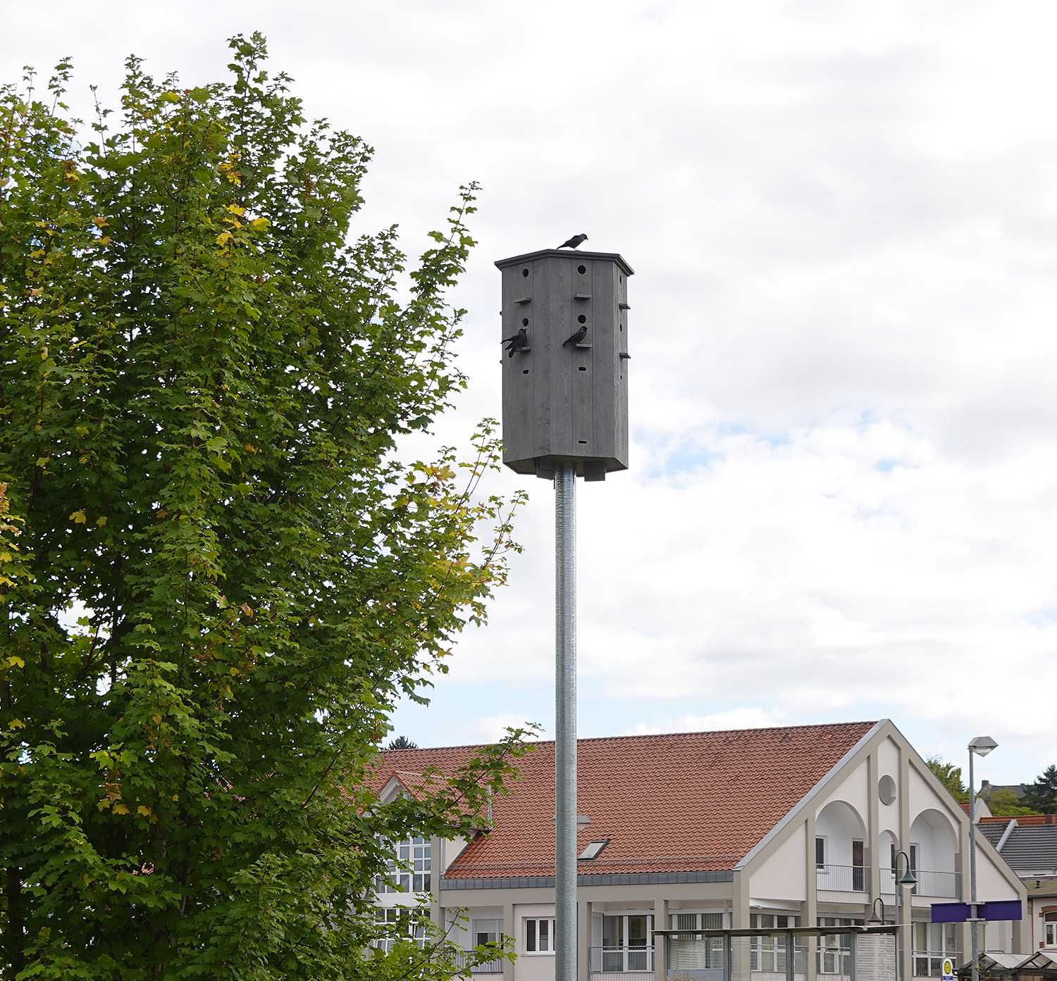 2025 09 29 - Dohlenturm | 1 | Q Schwalbenhäuser kaufen